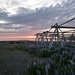 IJSLAND 300pic  0725