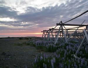 IJSLAND 300pic  0725