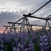 IJSLAND 300pic  0726