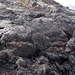 IJSLAND 300pic  0753