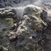 IJSLAND 300pic  0756