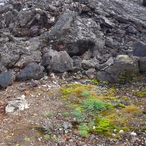 IJSLAND 300pic  0766