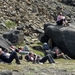 IJSLAND 300pic  0780