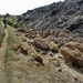 IJSLAND 300pic  0796