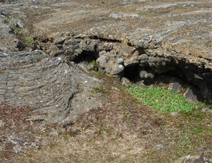 IJSLAND 300pic  0798