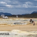 IJSLAND 300pic  0817