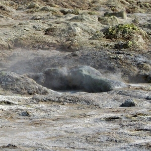 IJSLAND 300pic  0826