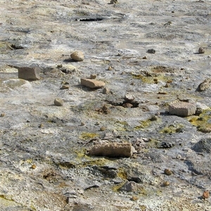 IJSLAND 300pic  0827
