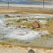 IJSLAND 300pic  0831