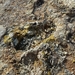 IJSLAND 300pic  0834