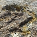 IJSLAND 300pic  0835