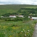 IJSLAND 300pic  0853