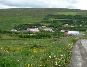 IJSLAND 300pic  0853