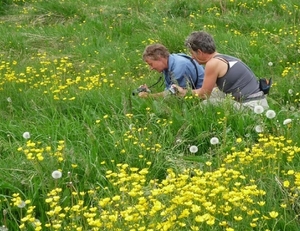 IJSLAND 300pic  0855