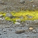 IJSLAND 300pic  0890