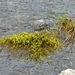 IJSLAND 300pic  0891