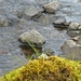 IJSLAND 300pic  0892