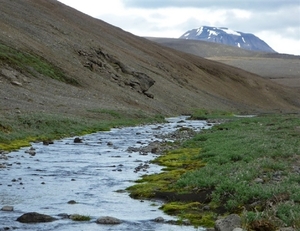 IJSLAND 300pic  0895