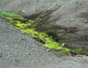 IJSLAND 300pic  0896
