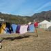 IJSLAND 300pic  0903