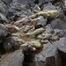 IJSLAND 300pic  0908