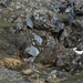 IJSLAND 300pic  0912