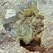 IJSLAND 300pic  0926