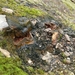 IJSLAND 300pic  0928