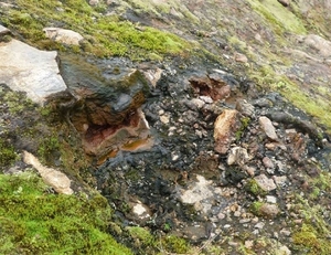 IJSLAND 300pic  0928