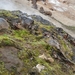 IJSLAND 300pic  0929