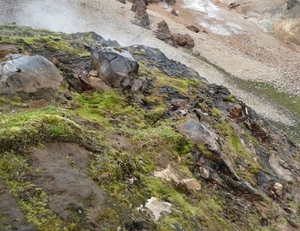 IJSLAND 300pic  0929