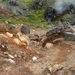 IJSLAND 300pic  0945