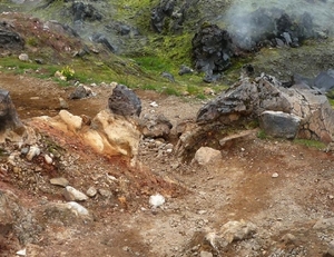 IJSLAND 300pic  0945