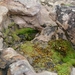 IJSLAND 300pic  0946