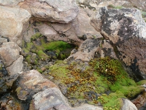 IJSLAND 300pic  0946