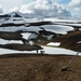 IJSLAND 300pic  0957