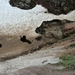 IJSLAND 300pic  0962