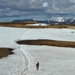 IJSLAND 300pic  0982