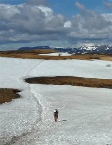 IJSLAND 300pic  0982