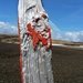 IJSLAND 300pic  0983