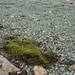 IJSLAND 300pic  0985