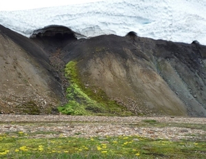 IJSLAND 300pic  0993