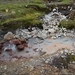 IJSLAND 300pic  1002