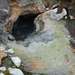 IJSLAND 300pic  1003