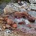 IJSLAND 300pic  1005