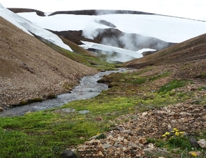 IJSLAND 300pic  1014