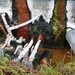 IJSLAND 300pic  1028