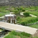 IJSLAND 300pic  1029