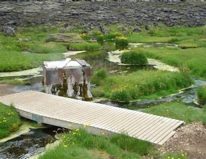 IJSLAND 300pic  1029