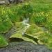 IJSLAND 300pic  1030